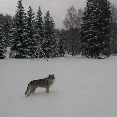 Ceska Farma Hotel Dolni Dvur