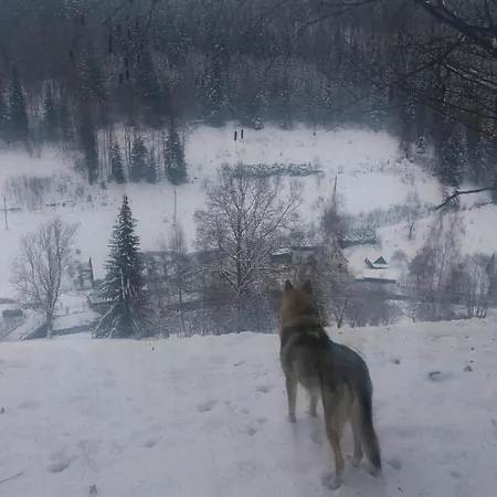 Ceska Farma 3* Dolni Dvur