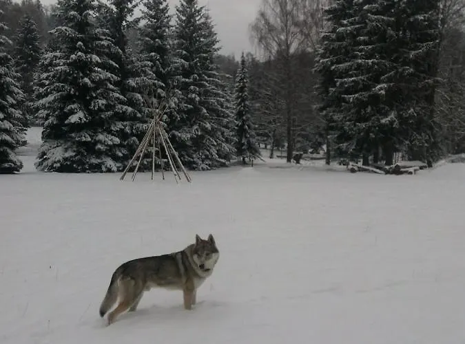 Ceska Farma Hotel Dolni Dvur