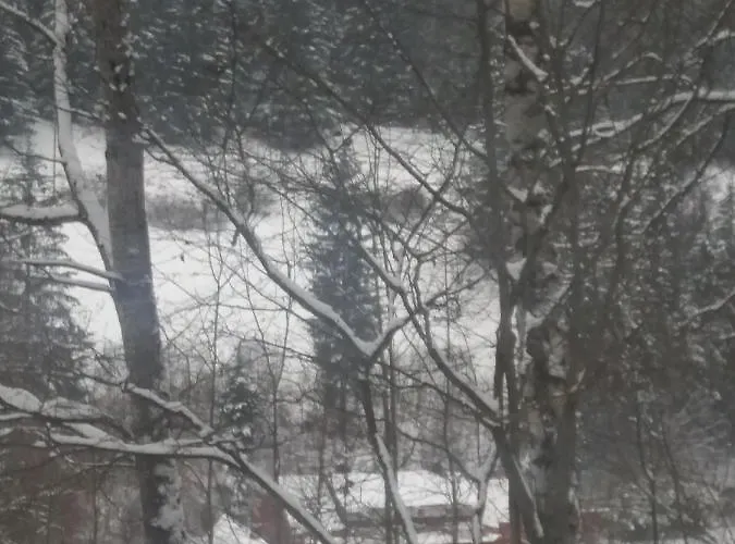 Ceska Farma Dolni Dvur